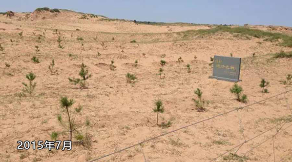 1615785020109008.jpg a15-1.jpg